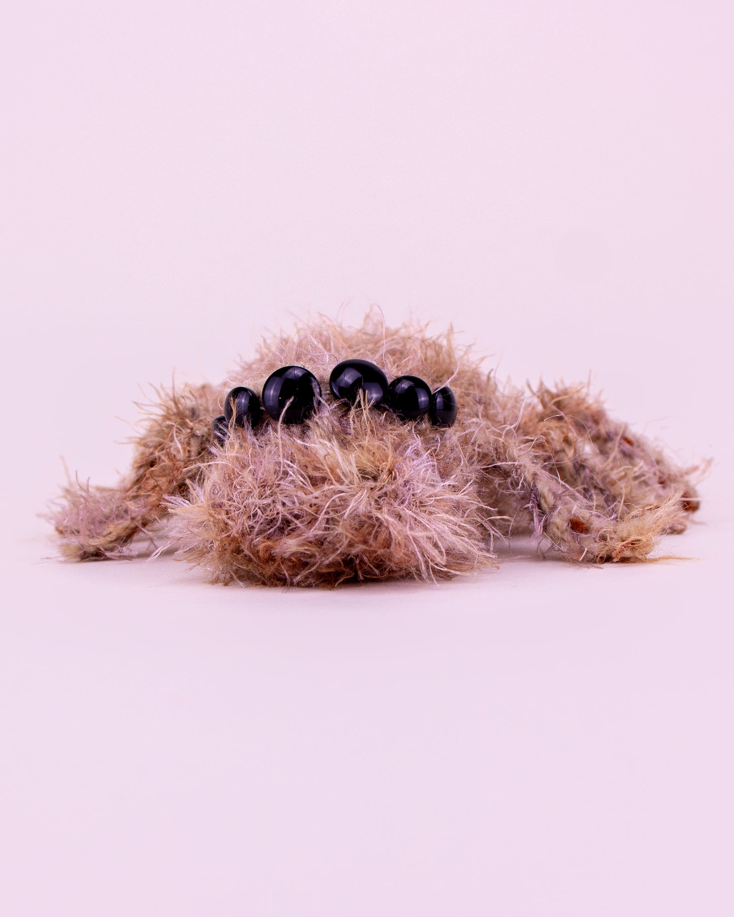 Araña saltarina