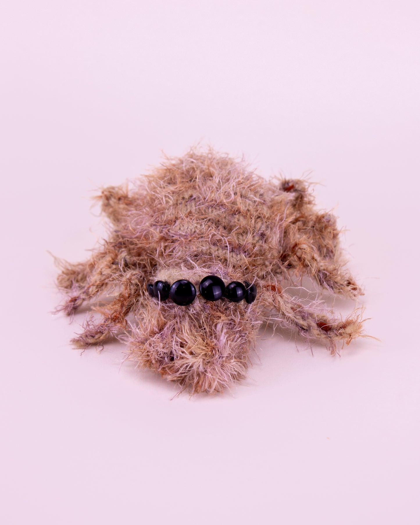 Araña saltarina