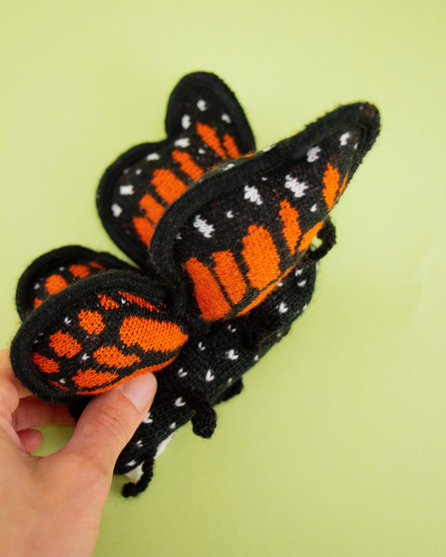 Maripsosa monarca de peluche en mano