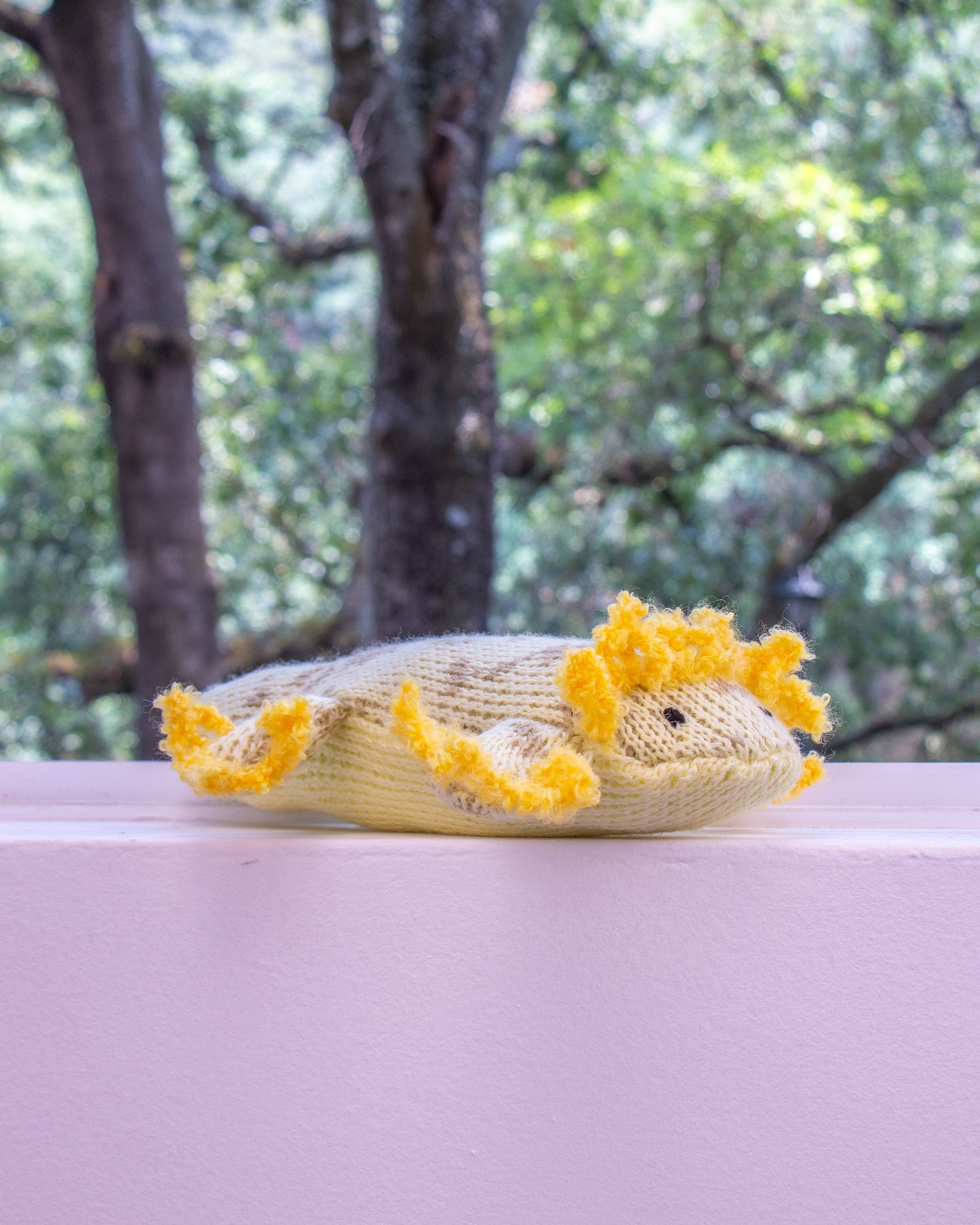 Achoque de Pátzcuaro de peluche en ventana