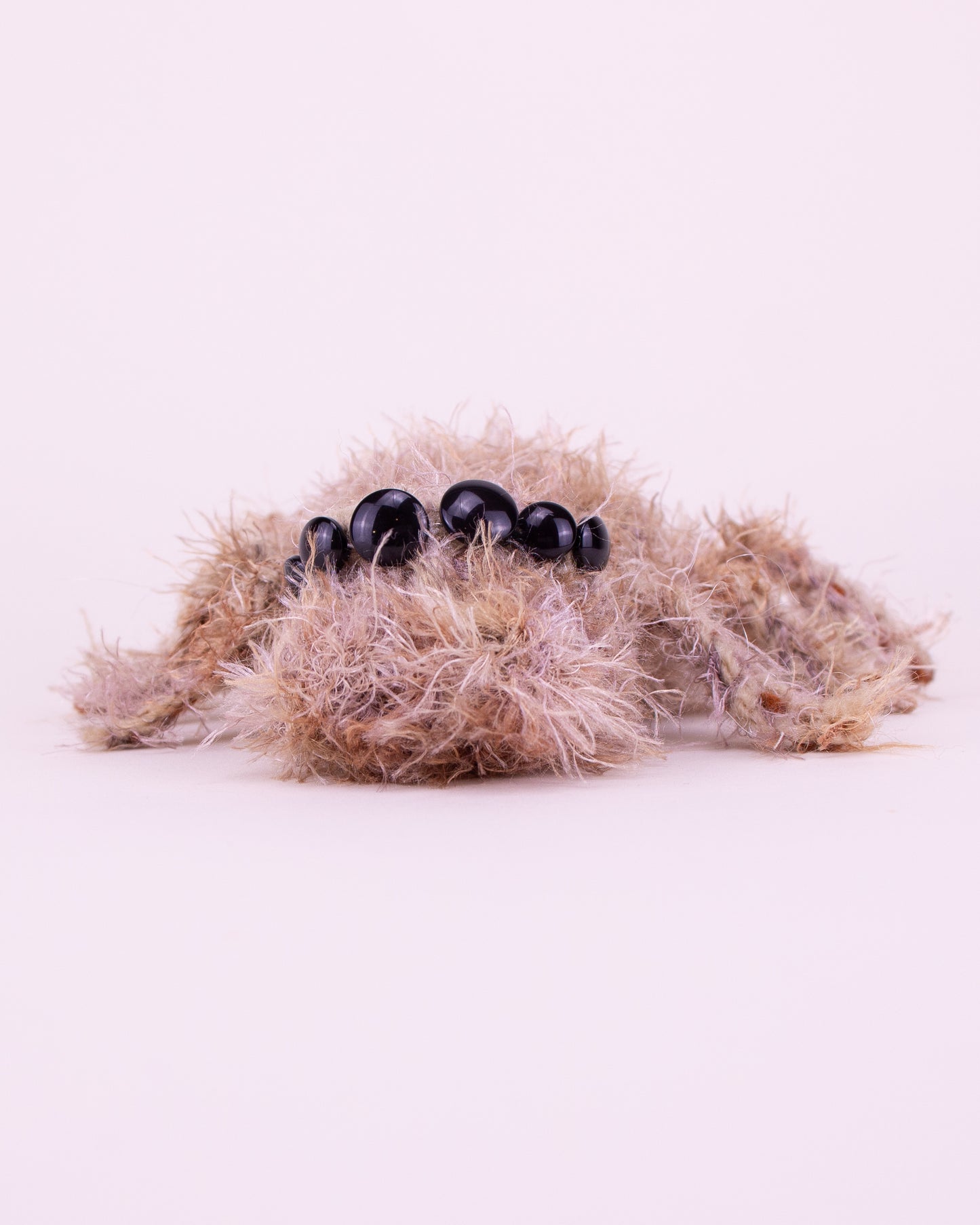 Araña saltarina de frente