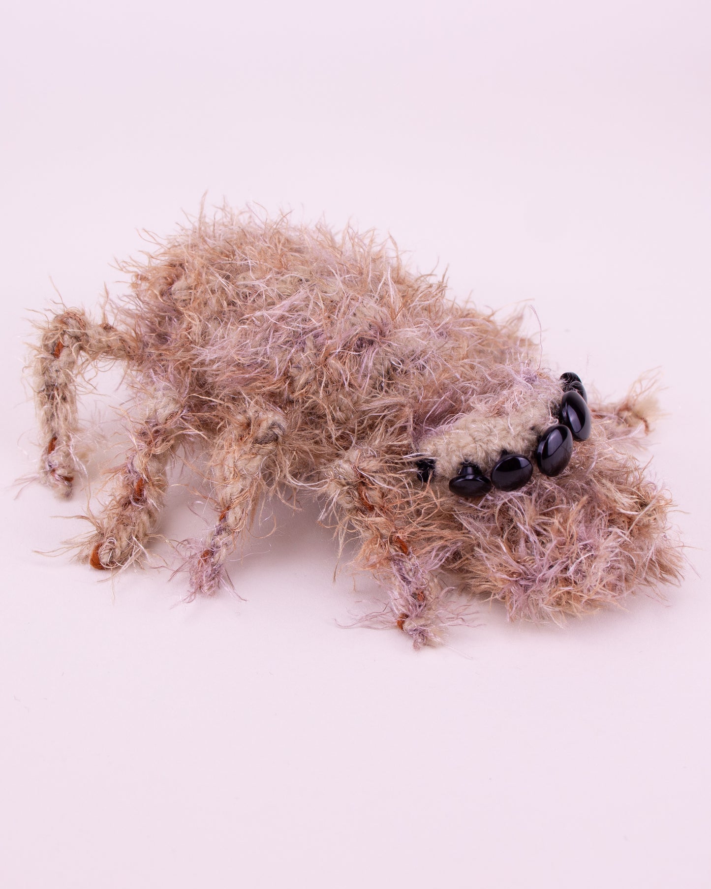 Araña saltarina de lado