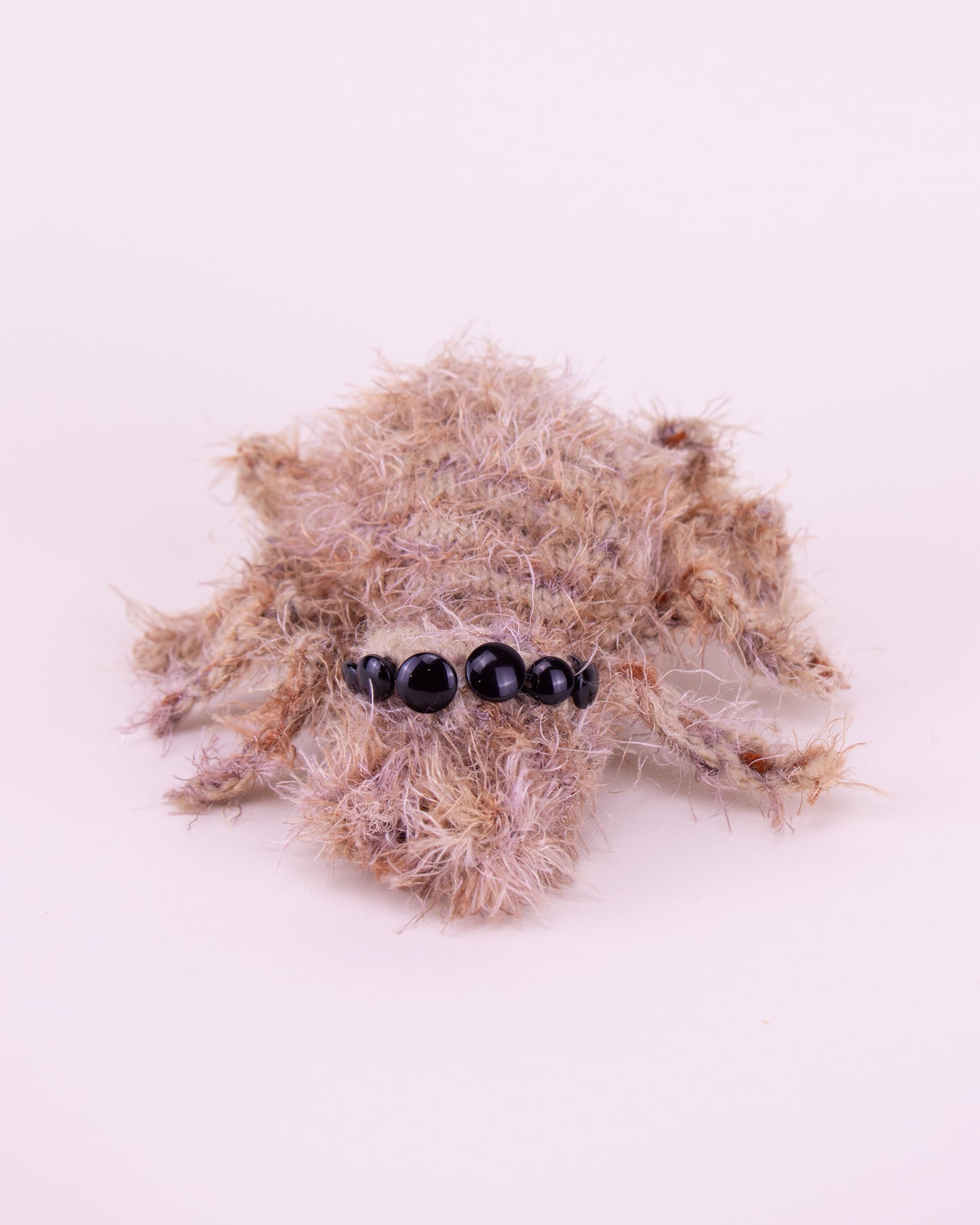 Araña saltarina superior