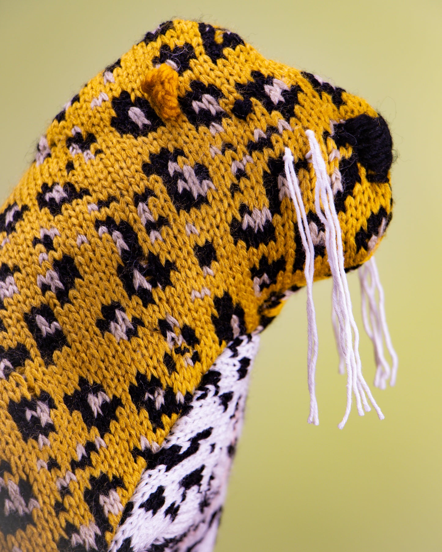 Detalle de jaguar