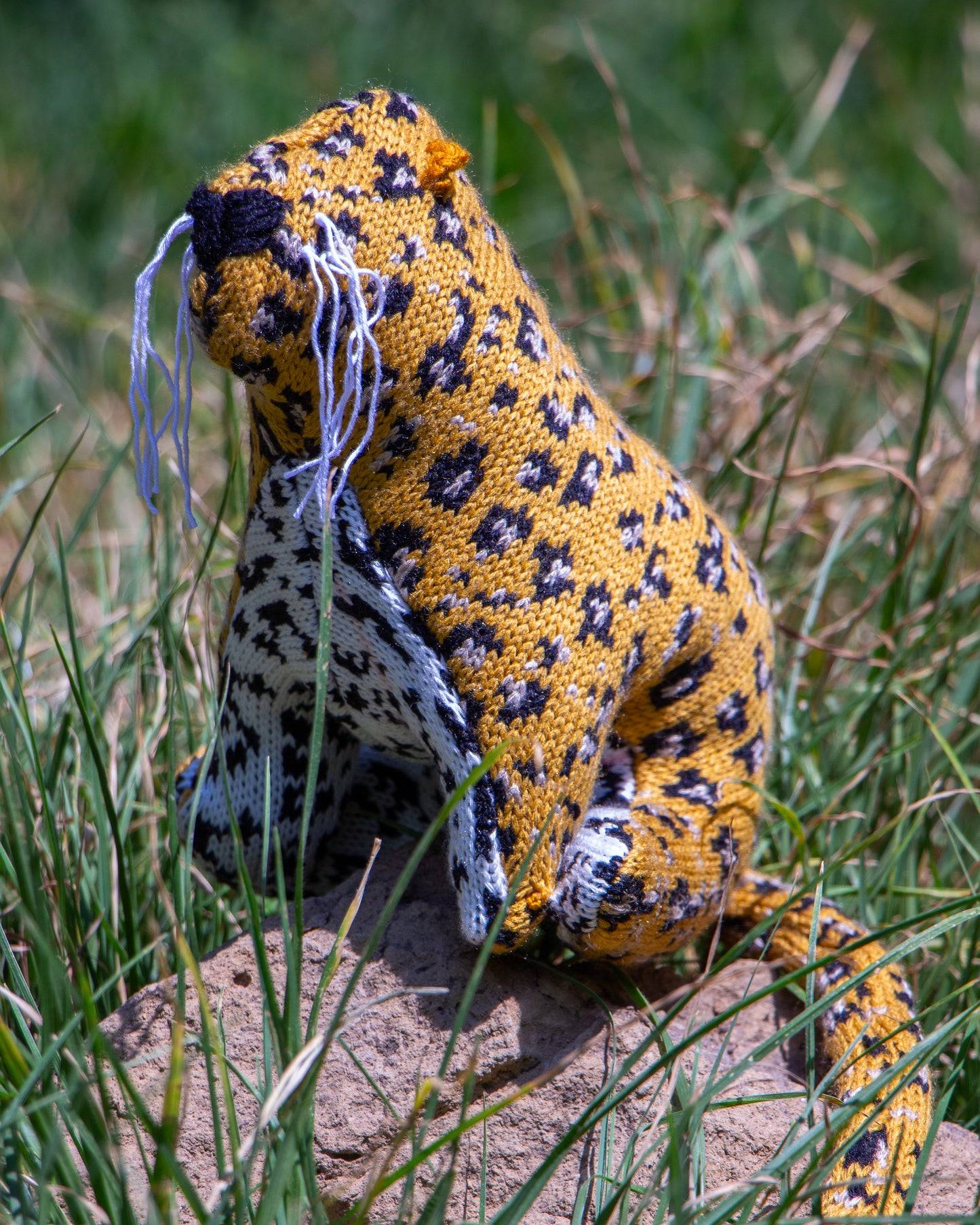 Jaguar de peluche en pasto