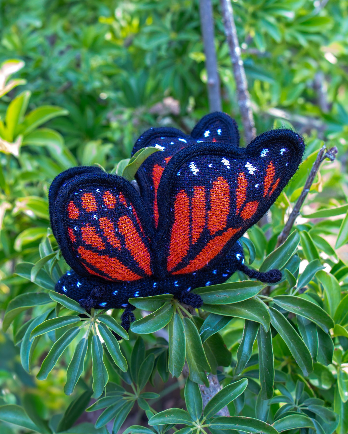 Mariposa monarca de peluche en plantas