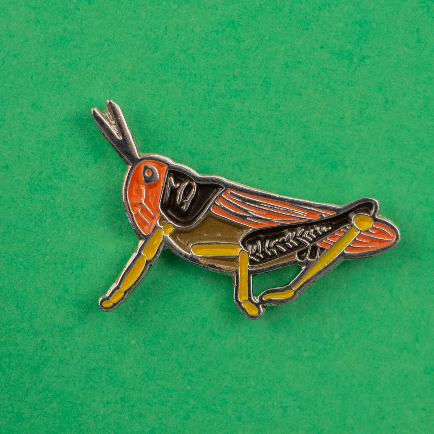 Pin de Chapulín