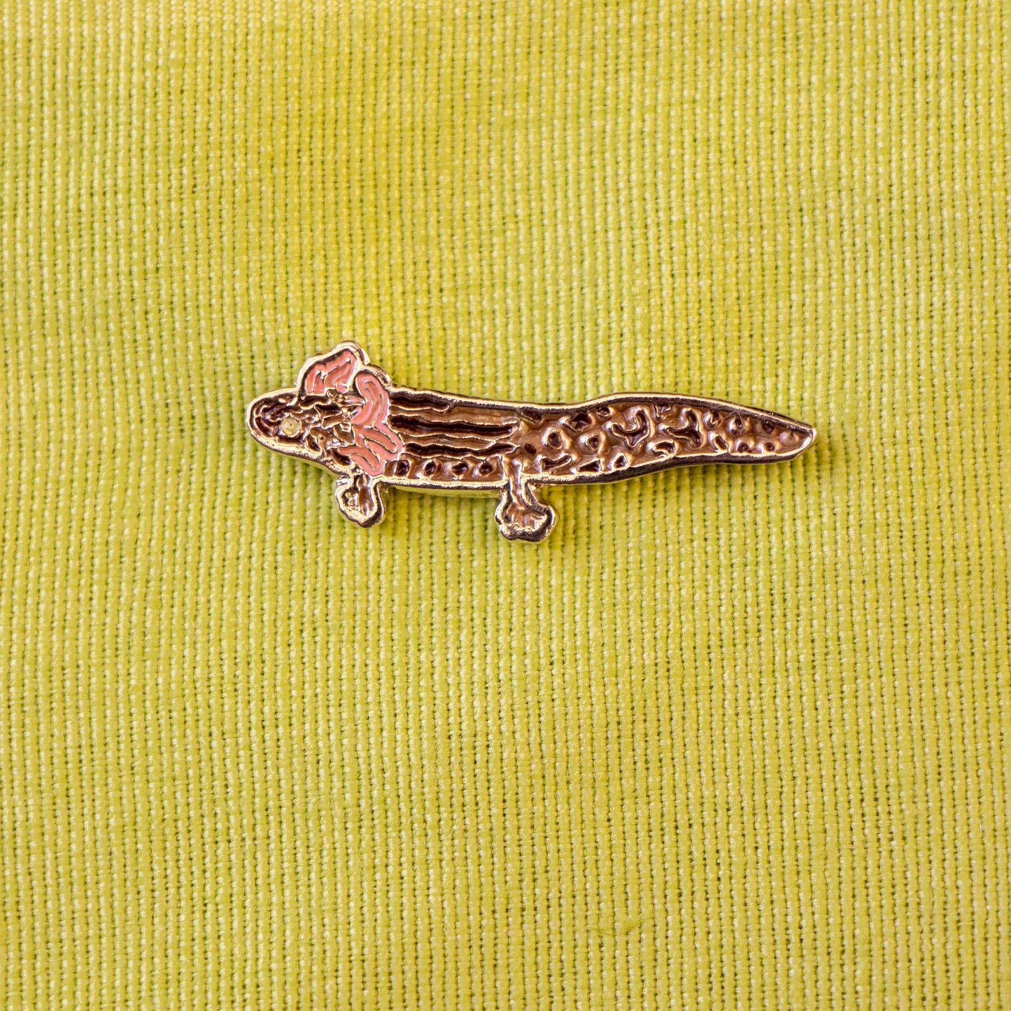 pin ajolote cafe
