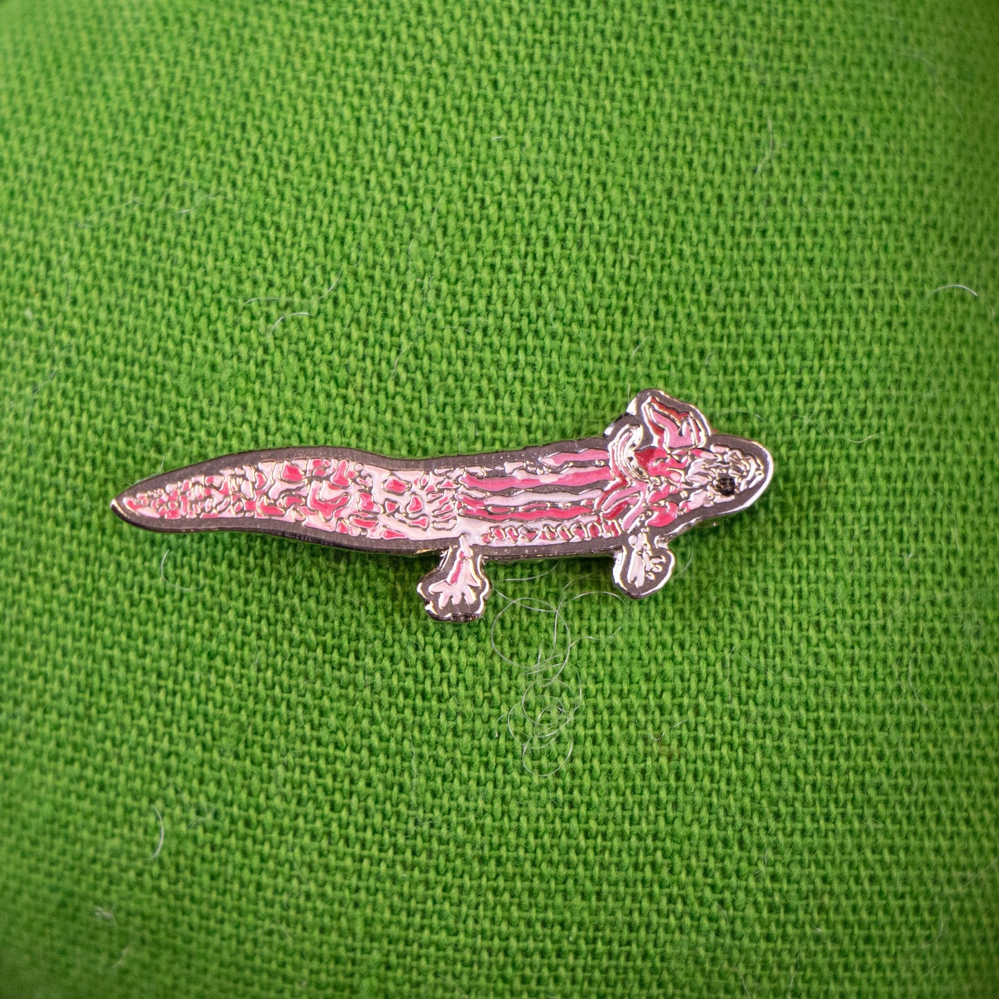 pin ajolote rosa