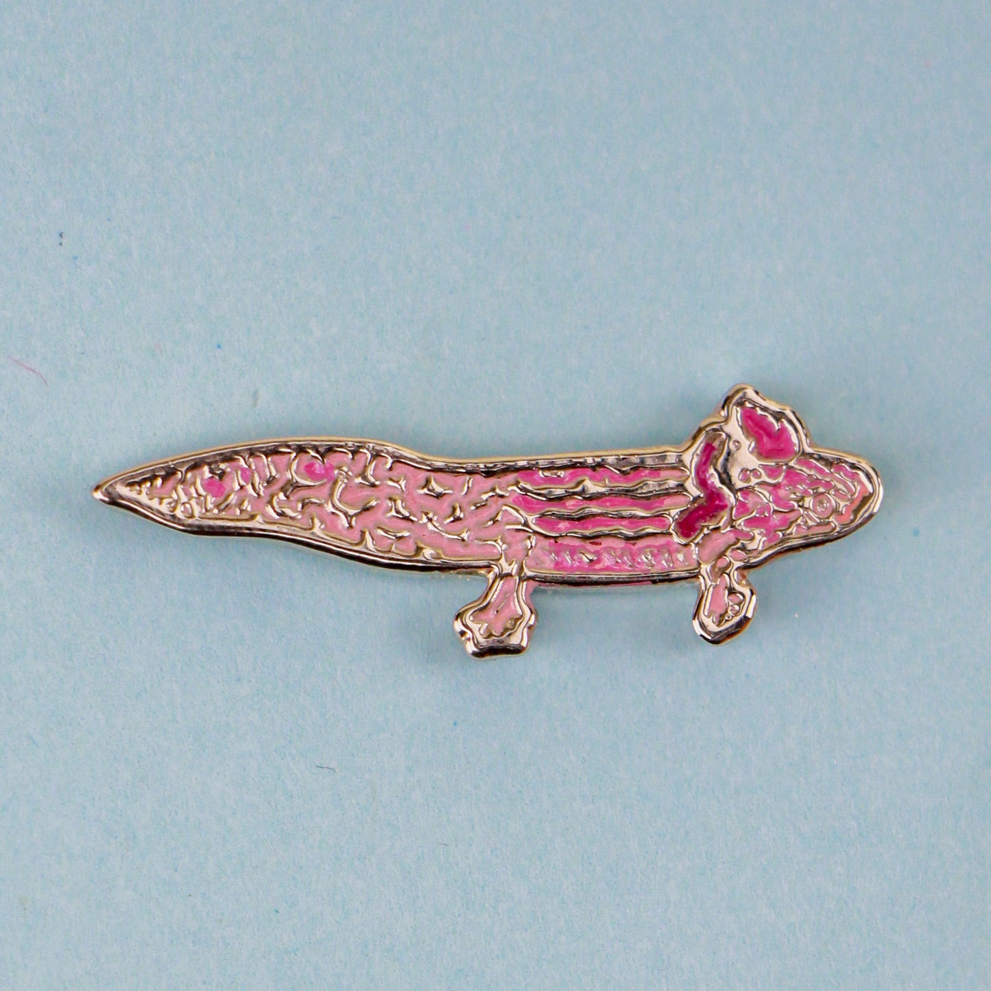 Pin de Ajolote Xochimilco