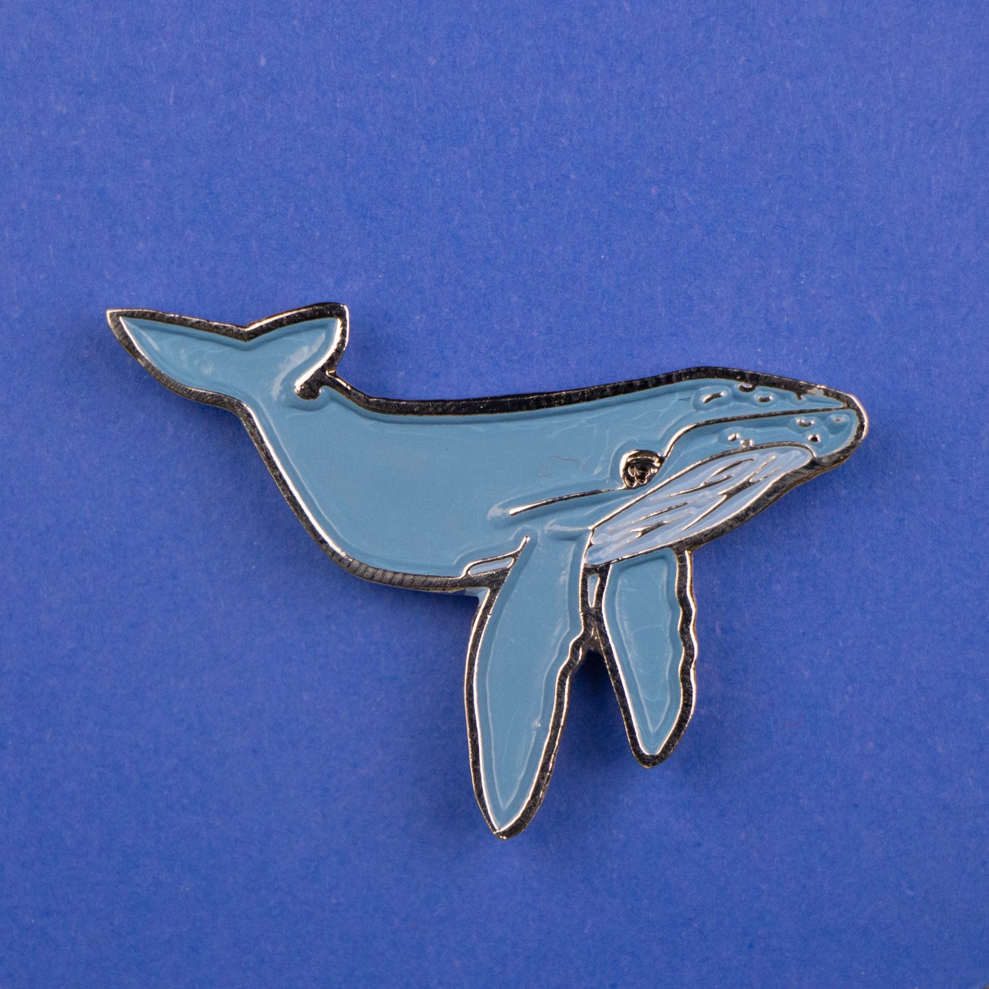 Pin de Ballena Jorobada