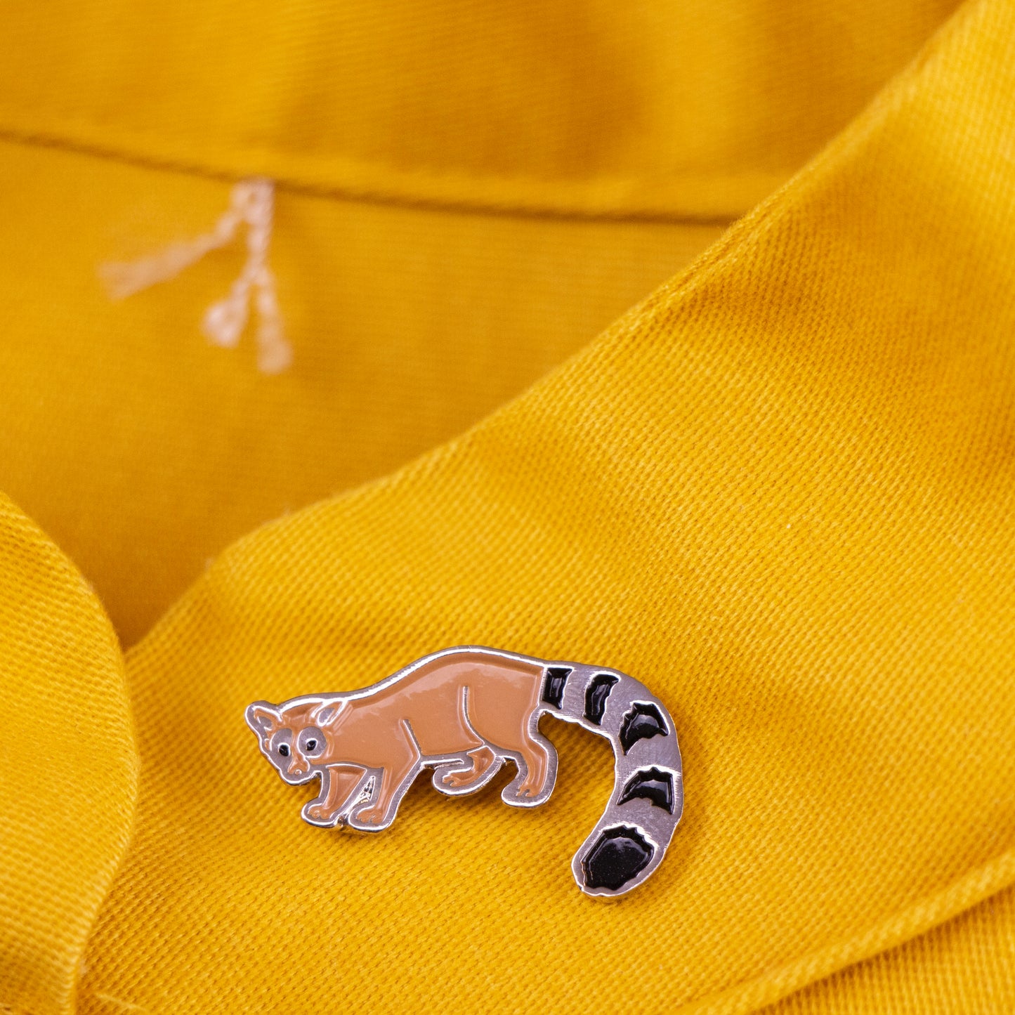 pin cacomixtle tela