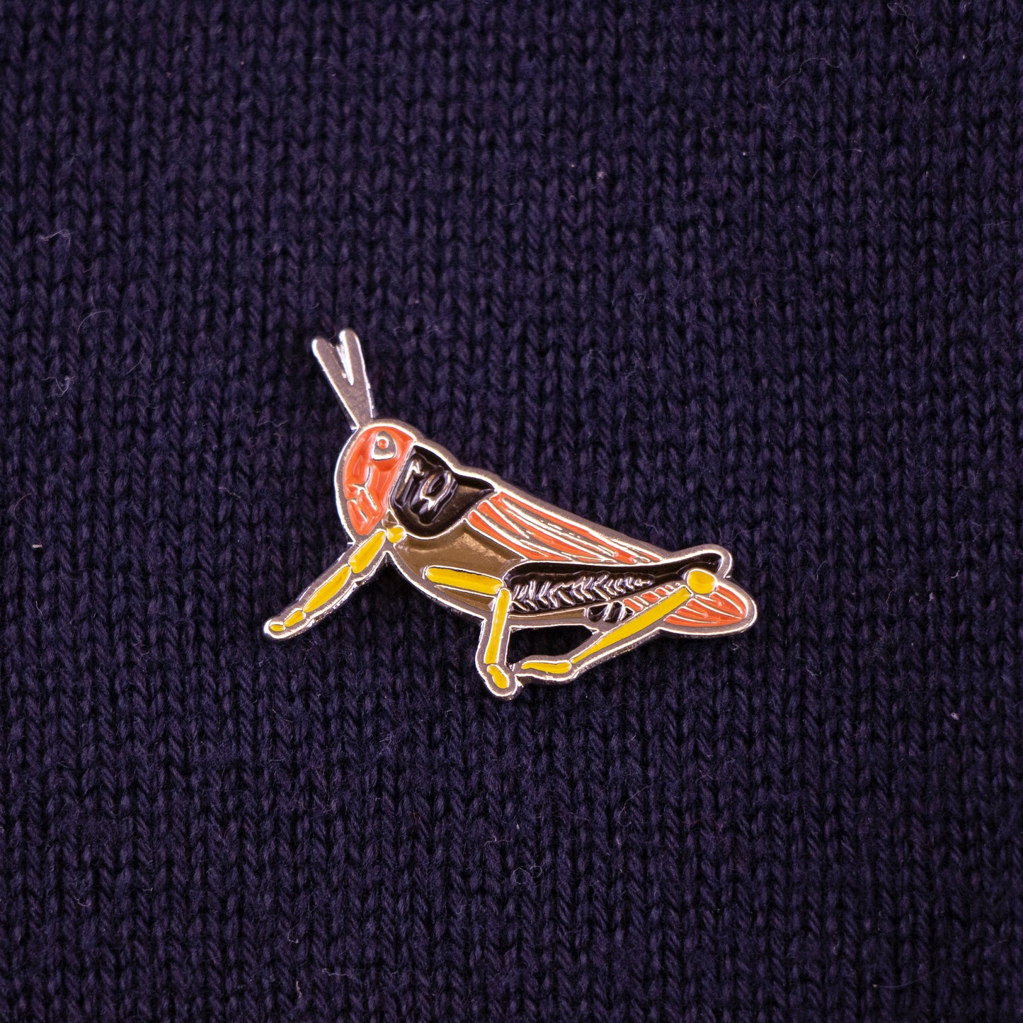 pin chapulin naranja tela