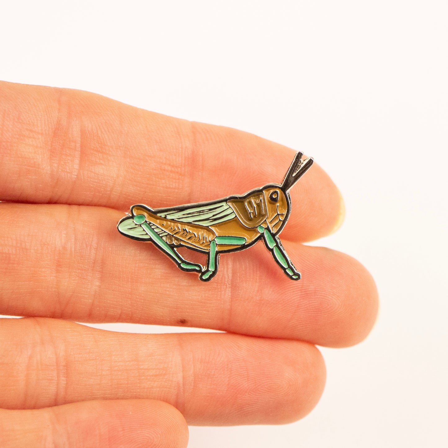 pin chapulin verde mano