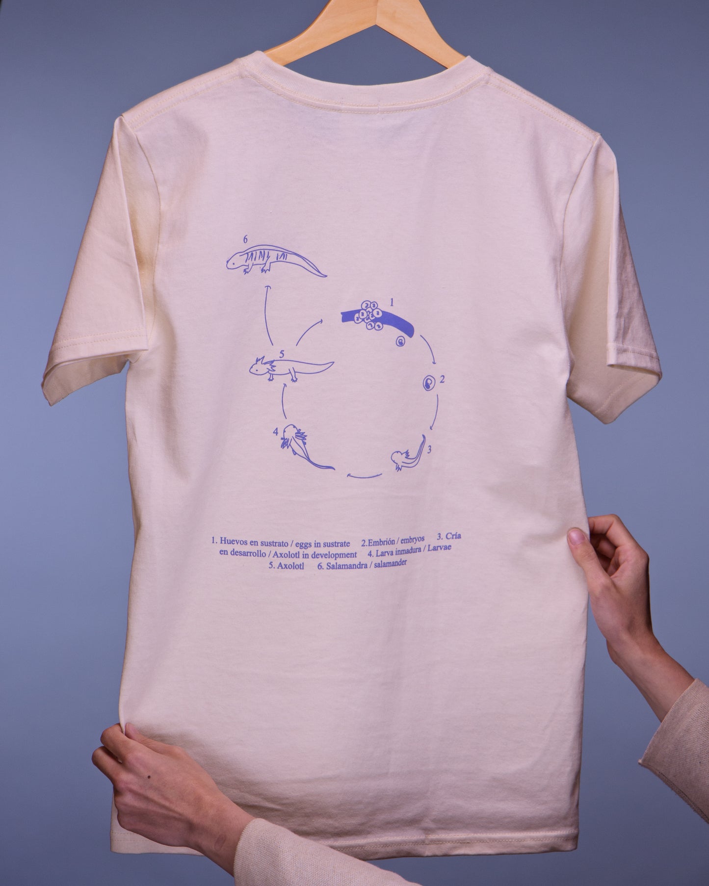 Espalda de playera de ajolote