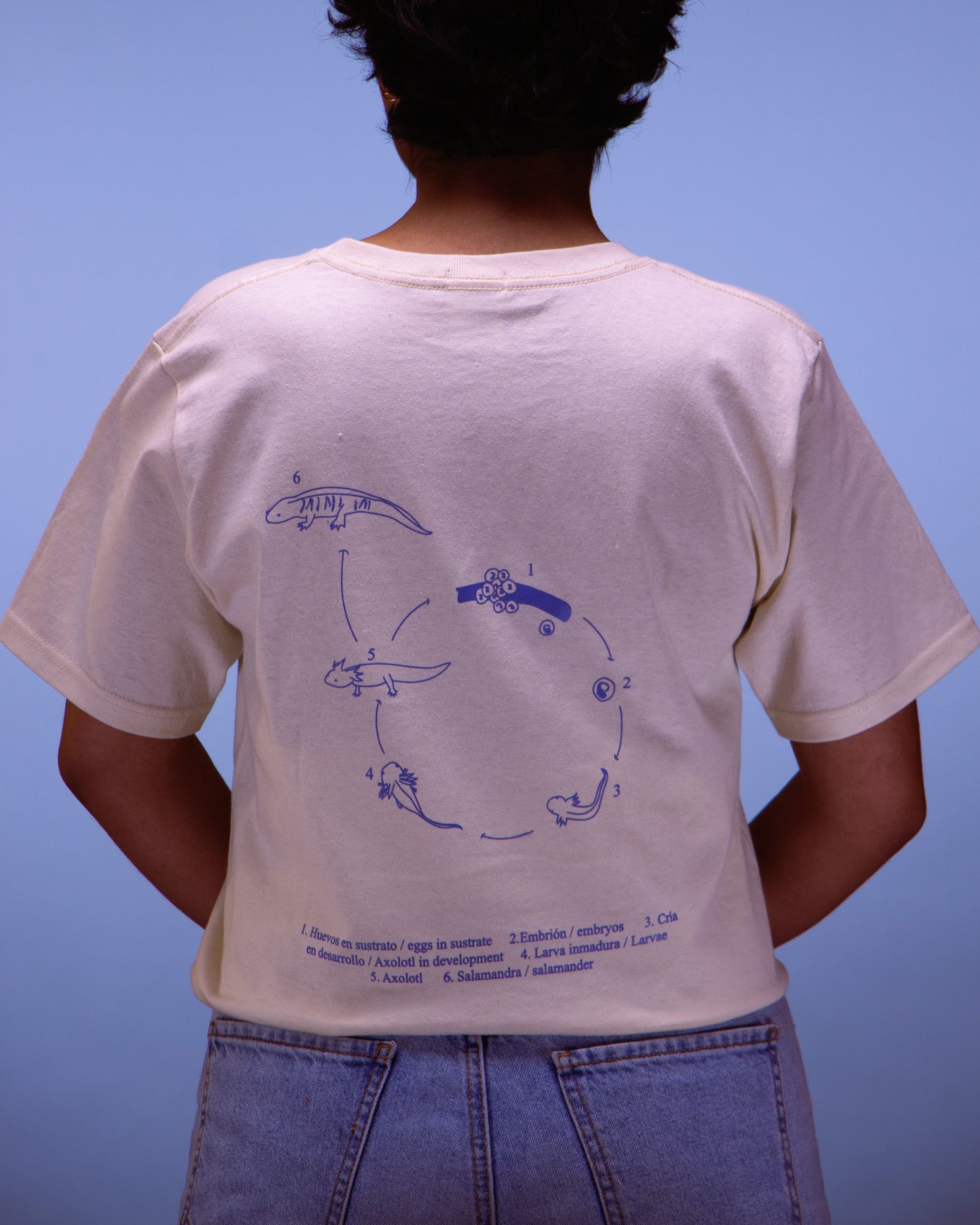Espalda de playera de Ajolote