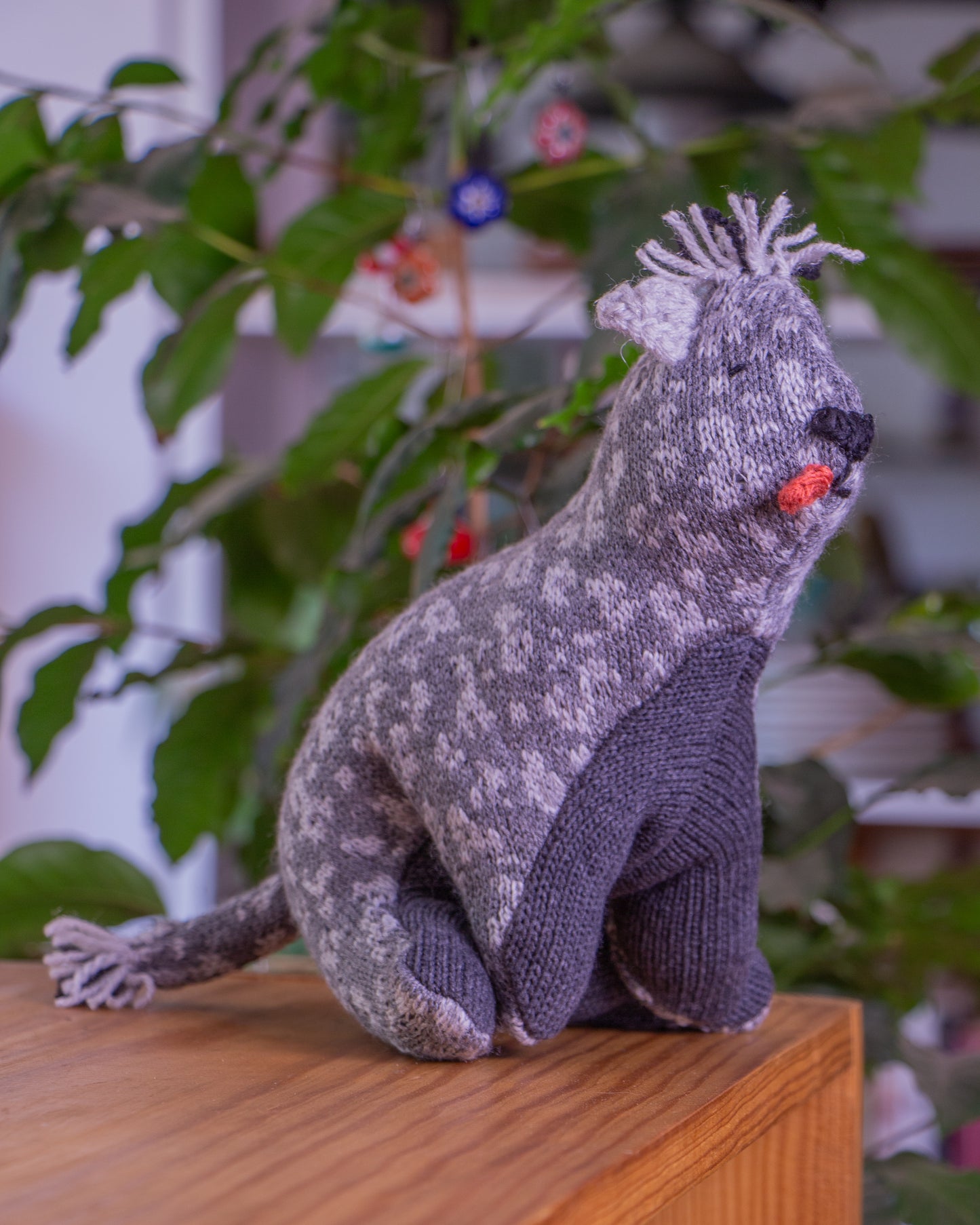 Xolo de peluche casual