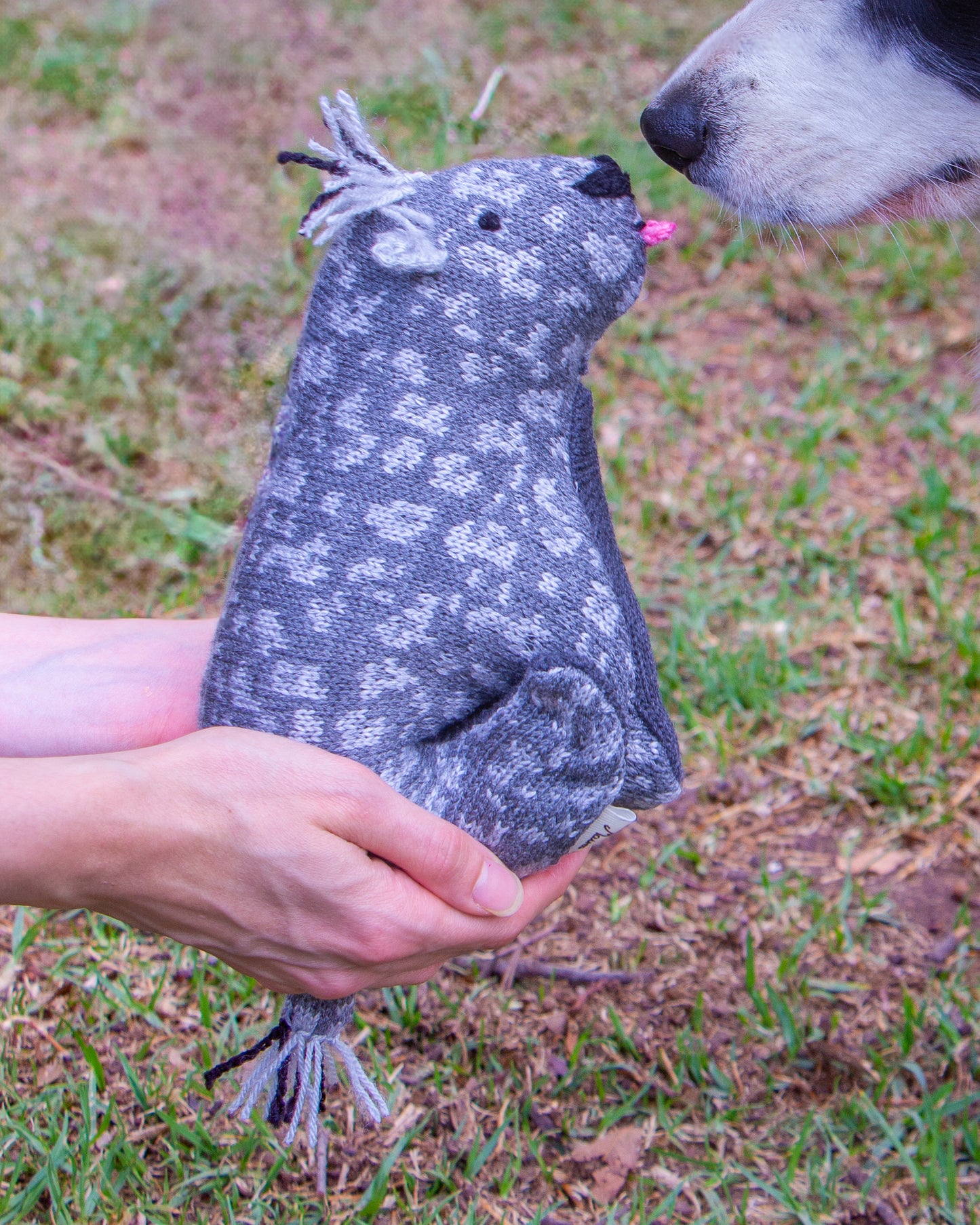 Xolo de peluche en manos