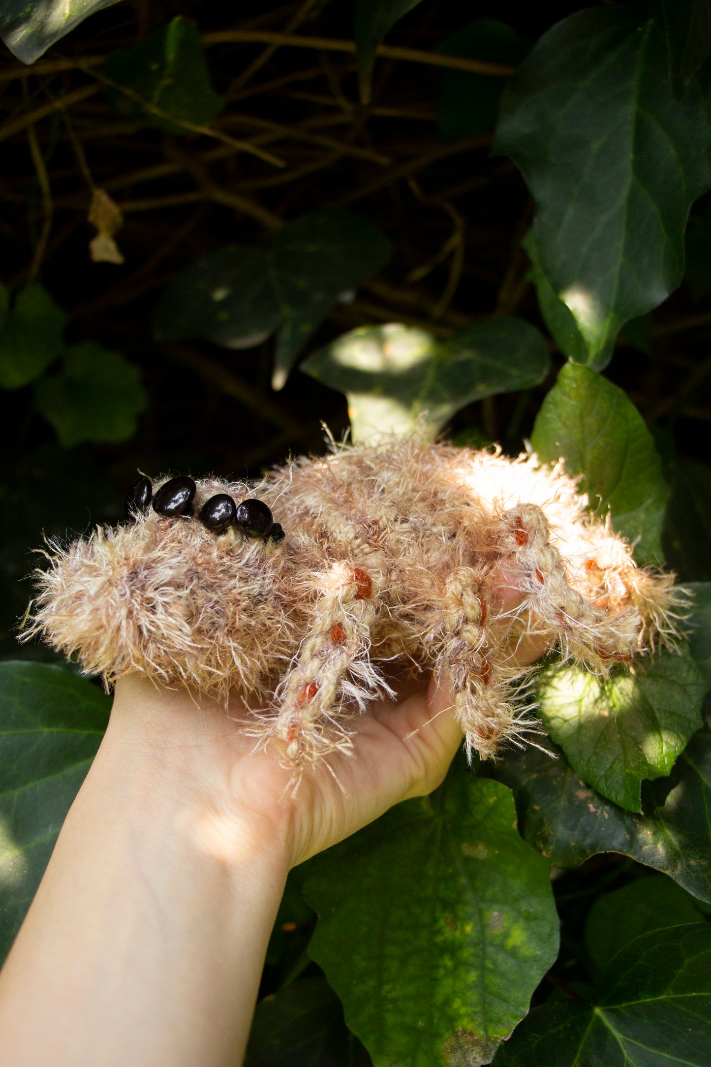 Araña saltarina en mano