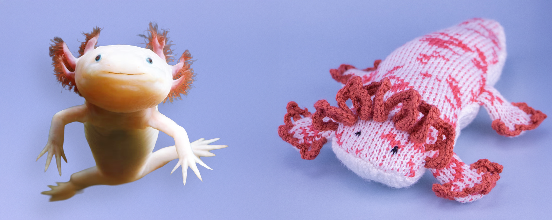 Comparativo de Peluche Ajolote