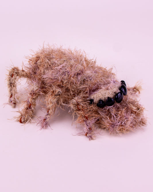 Araña saltarina