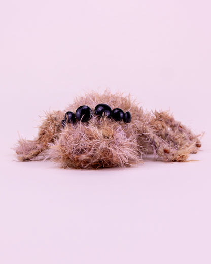 Araña saltarina