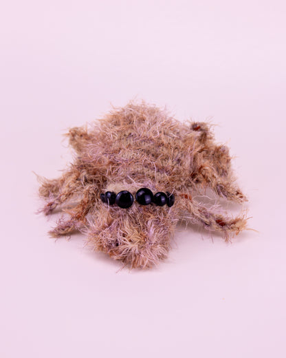 Araña saltarina