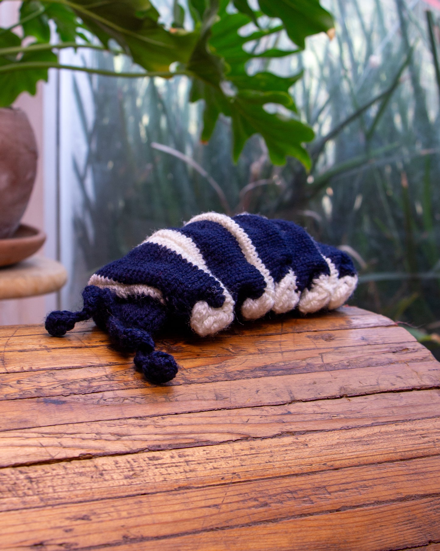 Cochineal