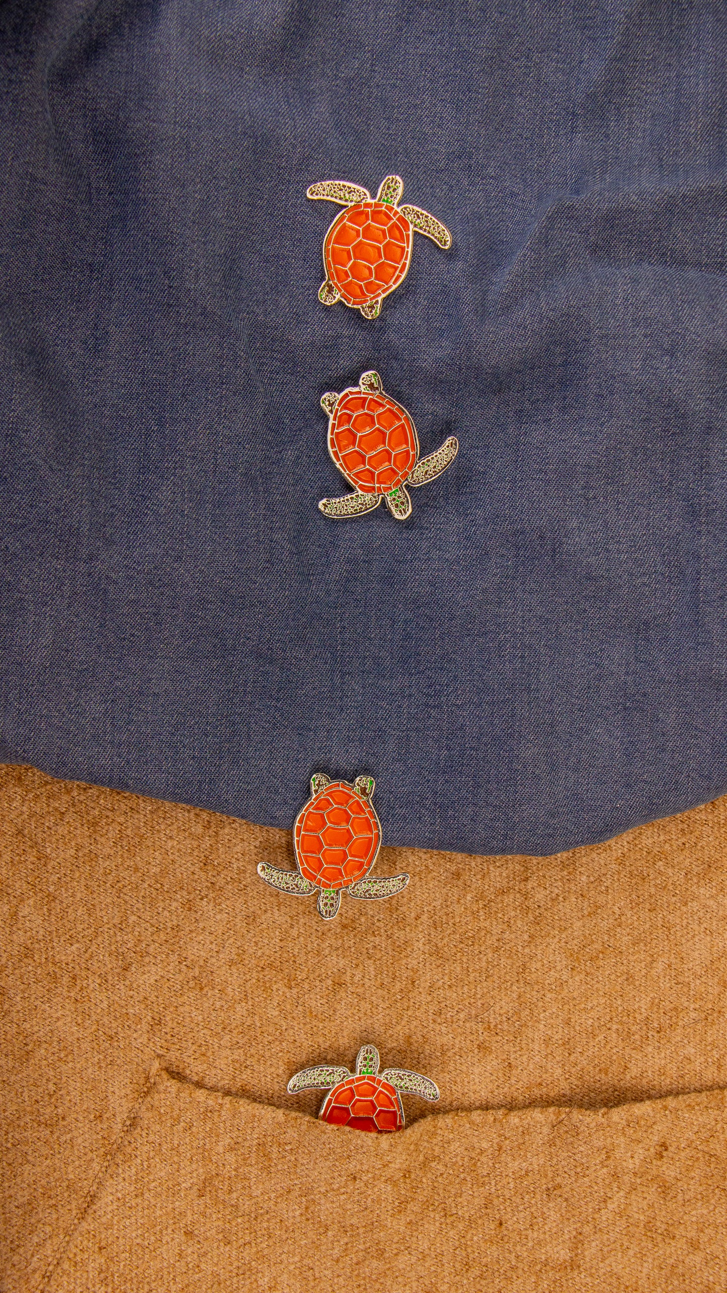Tortuga