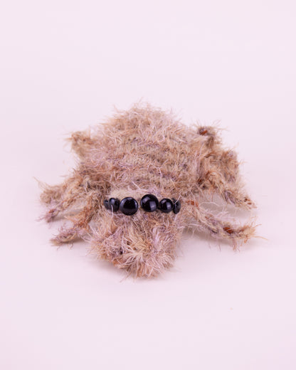 Araña saltarina superior