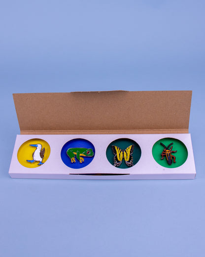 Caja de 4 pines 6