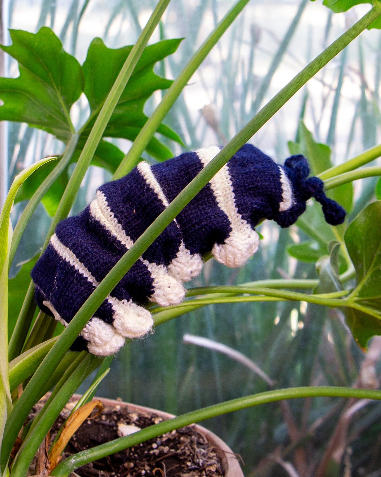 Cochinilla de peluche sobre planta