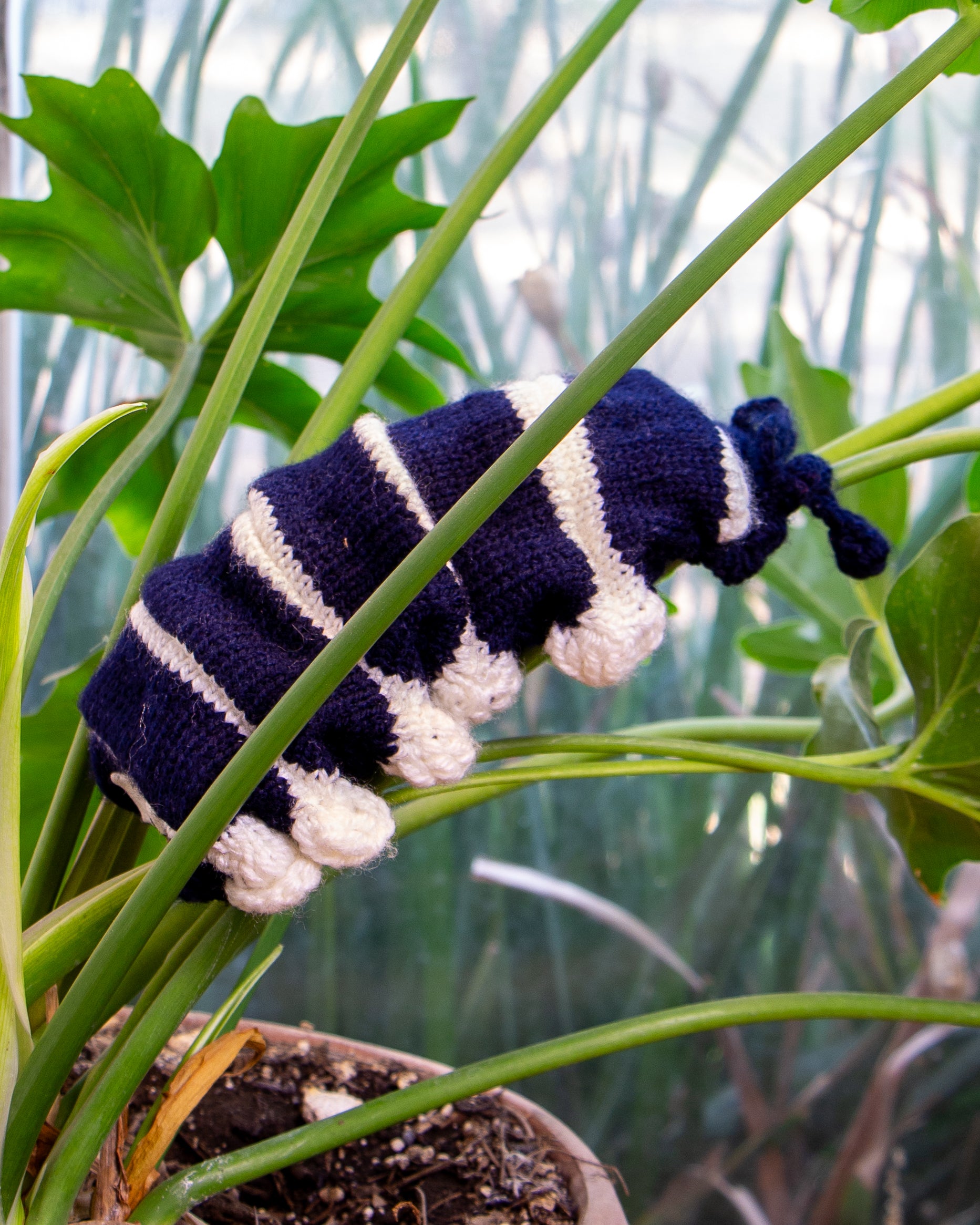 Cochinilla de peluche sobre planta