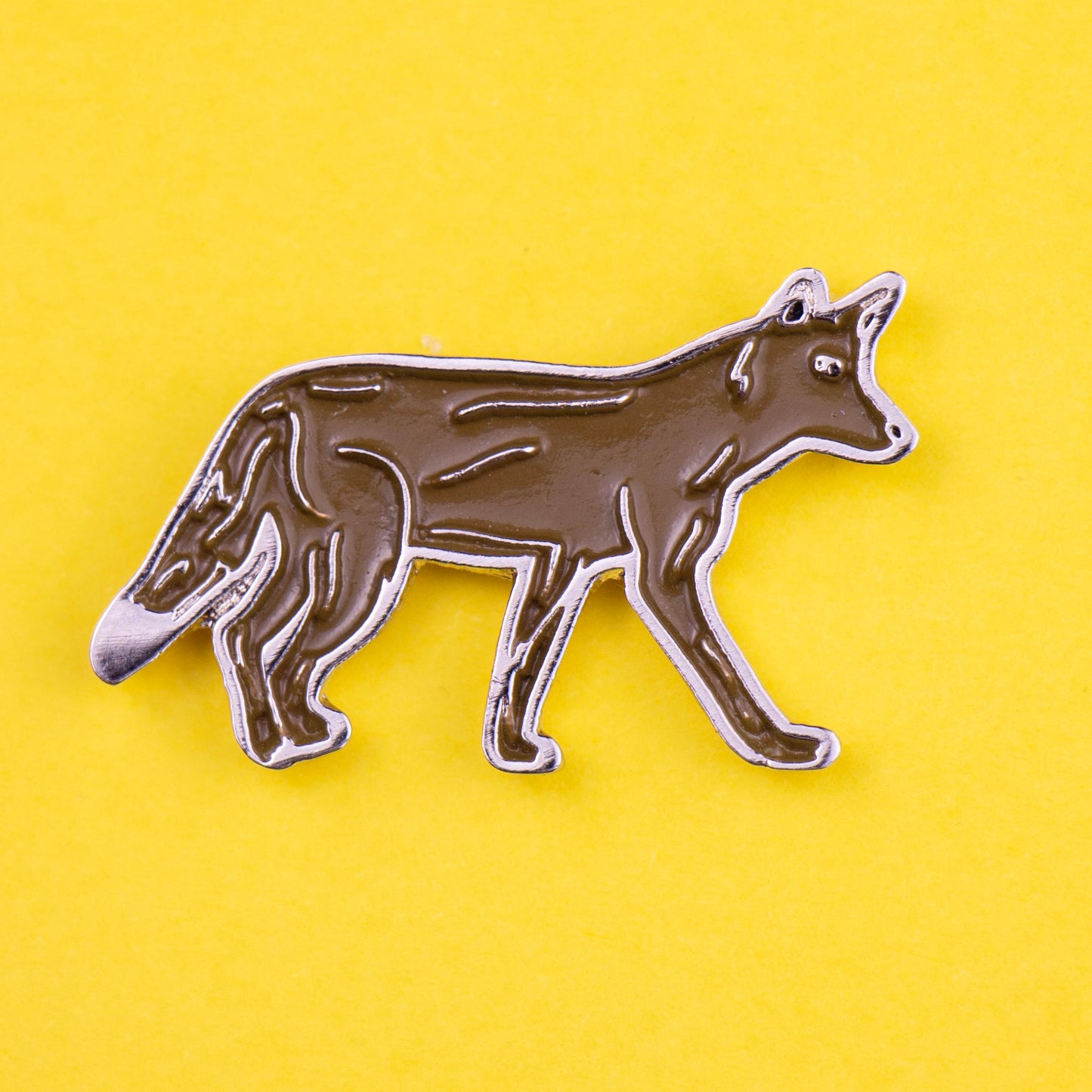pin coyote