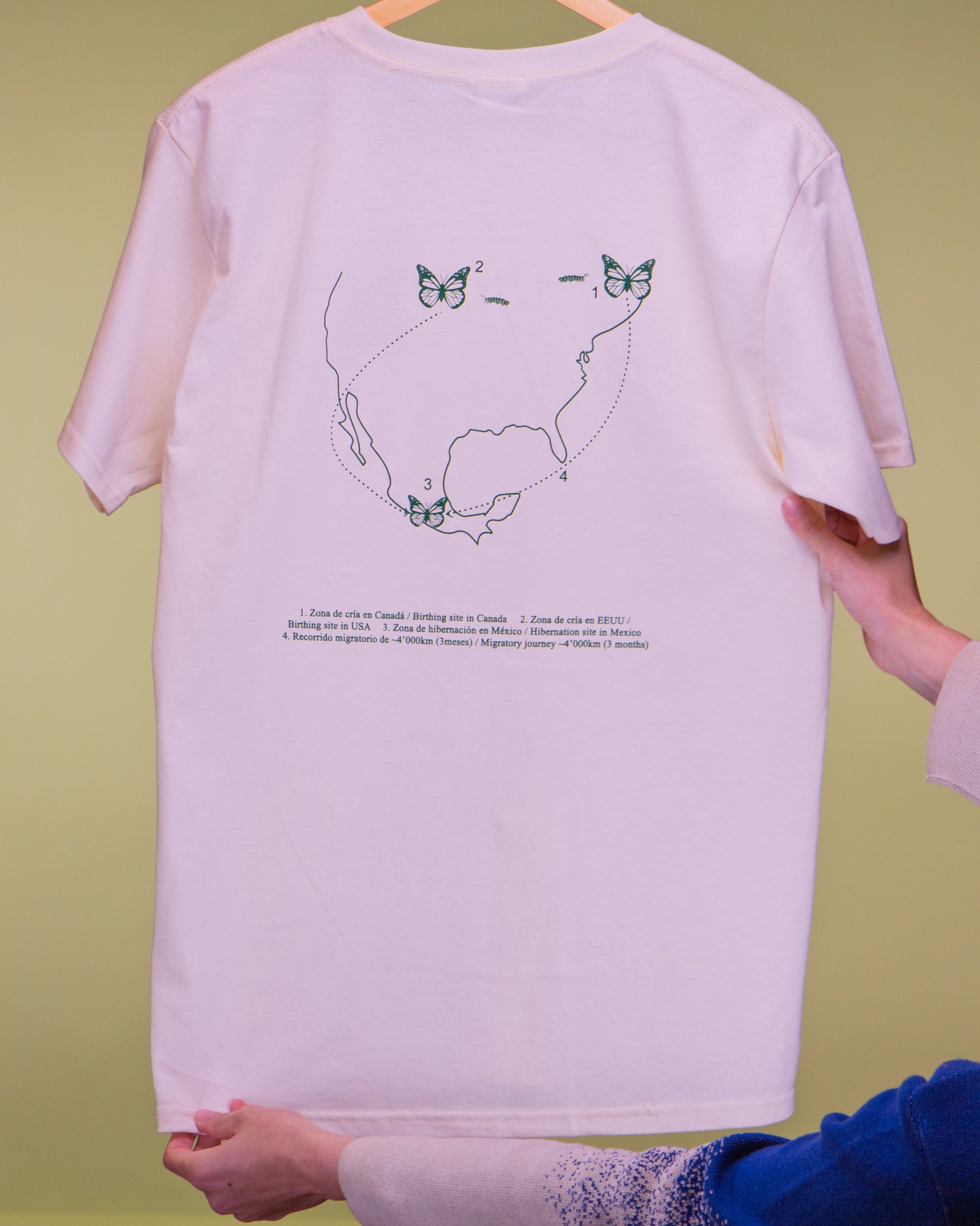 Espalda de playera monarca